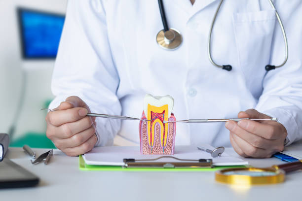Best Broken or Cracked Tooth Emergency Dentist in Willow Park, TX